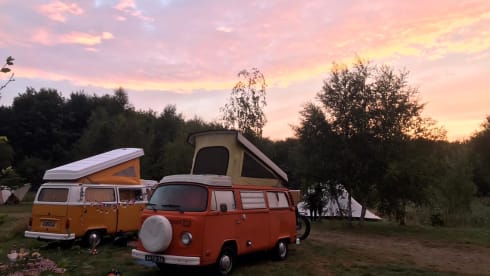 Orange  – Hip Orange retro Volkswagen T-2 Camper