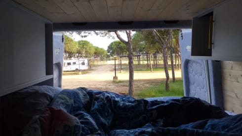 Vrijheid – 2p VW Crafter bus from 2014, complete, spacious and cozy