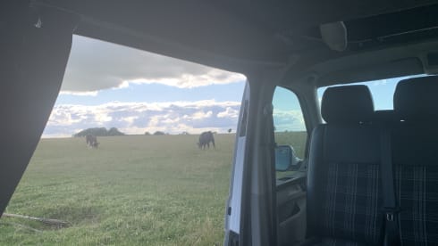 Hercules  – Gloucestershire, 4 berth VW campervan 2015 (TV, microwave & awning)