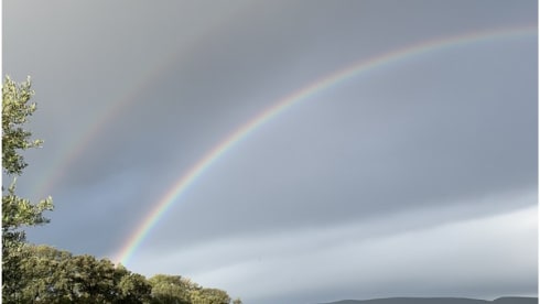 Roxanne – Mercedes Roxanne 207D