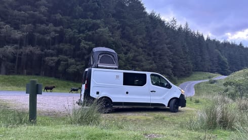 The Wee Hoose – The Wee Hoose – Vauxhall Vivaro LWB Campervan - 4 berth