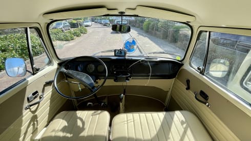 Pistache – Classic VW T2 Panorama bus