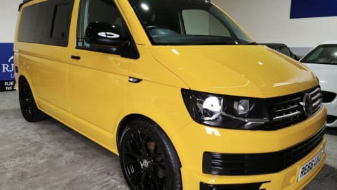 Bee – Meet Bee - VW CamperVan T6