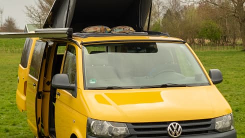 Yellow Submarine – Bus camper VW T5 Extended - Just like a car
