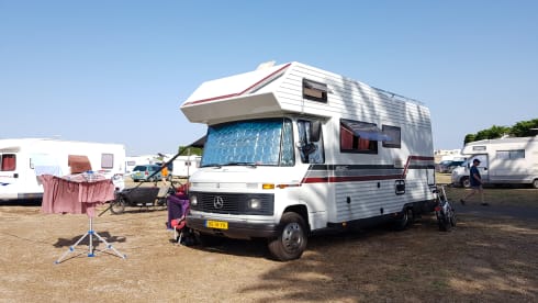 Dolores – Führerschein c1 - Machen Sie Ihren Auftritt mit unseren coolen Dolores!