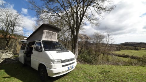 Rino il campeRino – Volkswagen T4 westfalia california