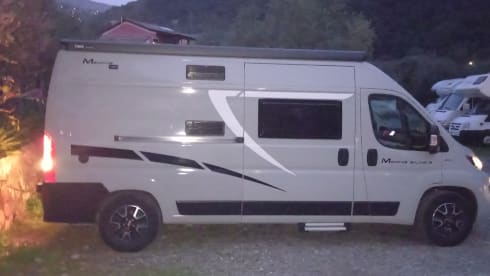 Petunia – The freedom to live in all the wonderful places.