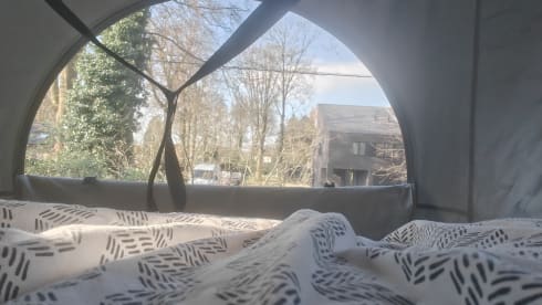 Vinny – 4-sitziger Fiat-Bus ab 2025