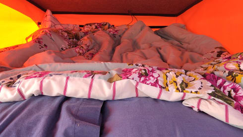 Vanny McVanface – 4 berth camping adventures await!