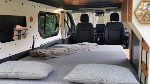 CANTERBURY  – Renault trafic 3 2022 - 4 posti - Lione