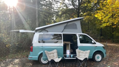 4p Volkswagen T6 L2H1 from 2017 with 2022 interior