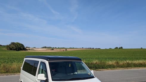 Rosie – VW T5 Extra-long - Free wine, milk & bread.