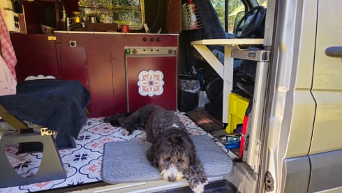 "Mijn-Crafter" sfeervol Off grid  – 2p Volkswagen bus uit 2008
