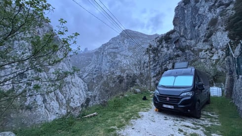 2p Fiat bus uit 2019