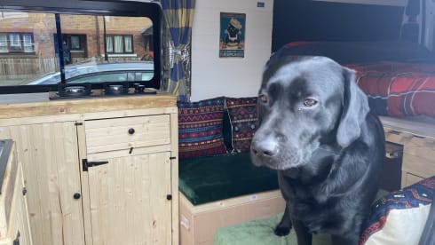 Jerboa – 2 berth Citroën campervan from 2016