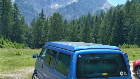 Smurf – 4p Volkswagen bus from 2001