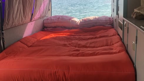 Dani – Volkswagen t4 Reimo