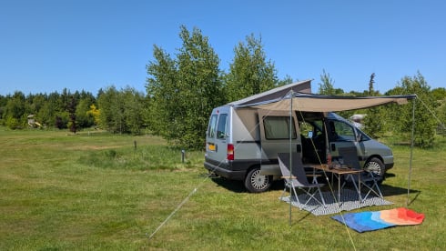 Knusse bus Billie – 2p Fiat other from 2004