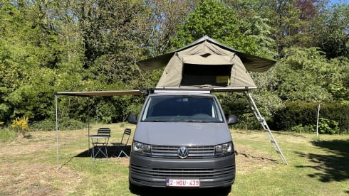 3p Volkswagen rooftop uit 2018