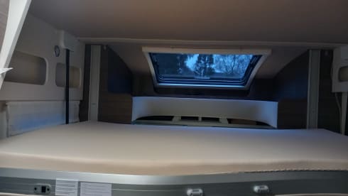 5p McLouis semi-integrated uit 2023