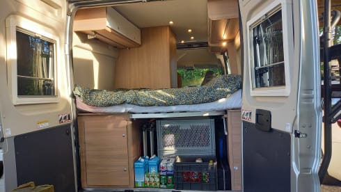 4p camper bus automatic from 2021