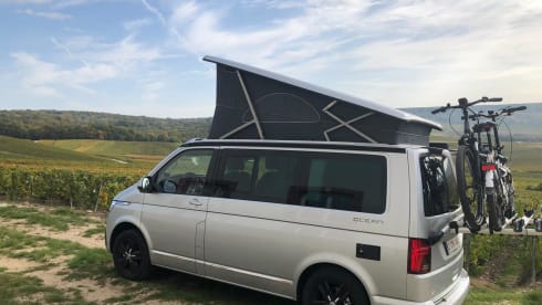 4 p 2022 Volkswagen California
