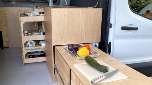 ons busje – 2p Ford bus uit 2015