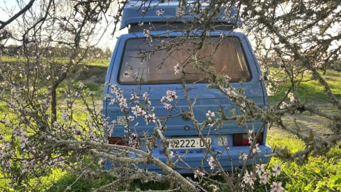 T3 – Rent a Campervan Blue CLassics ‘s Volkswagen