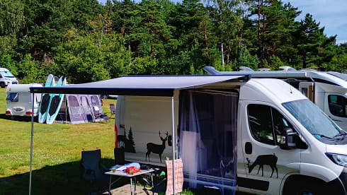 2p Peugeot bus from 2018