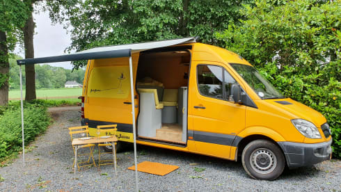 Gele Gerrie – Nothing is too crazy in this luxurious cat! Underfloor heating, coffee or a glass of wine?
