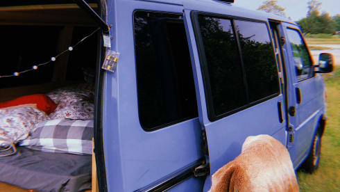 Bluebulli – Liebevoll ausgebauter VW T4 der Bock aufs reisen hat.