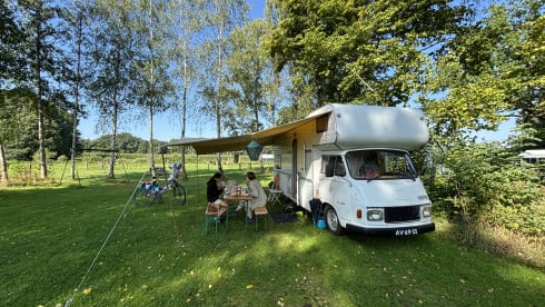 Oldtimer in perfect condition! Hanomag Henschel '71