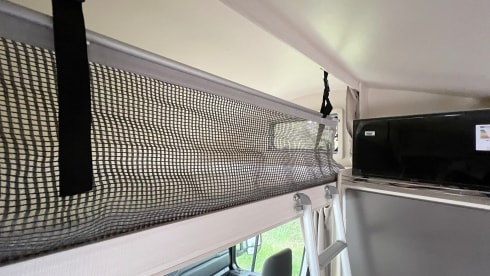 CarLotta – Urlaub für die Familie