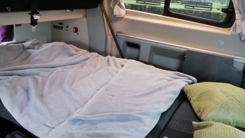 4p Ford campervan uit 2021