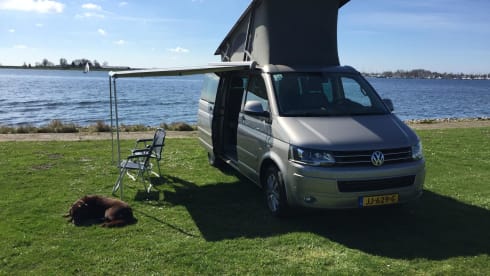 Travis – 4p Volkswagen campervan from 2016