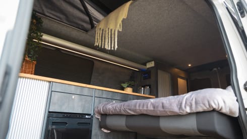 COOPER THE CAMPER – 2016 Volkswagen Camper