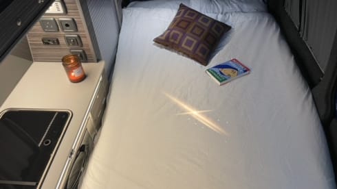 Bluey – The Lil Camper co- 4 Berth VW campervan