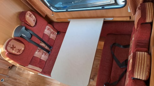 Kempie – Fine Chausson Ford - 2009 - 6 belts