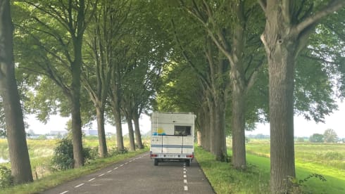 Ouwe Beer – The 'Old Bear' cozy compact camper.