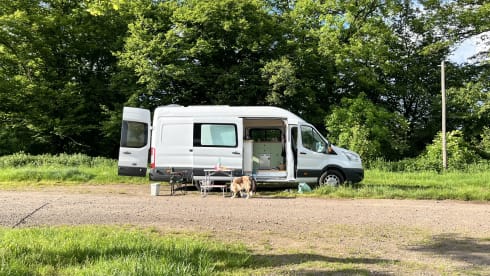 Poppy – Ford Campervan (2019) 2p + huisdier
