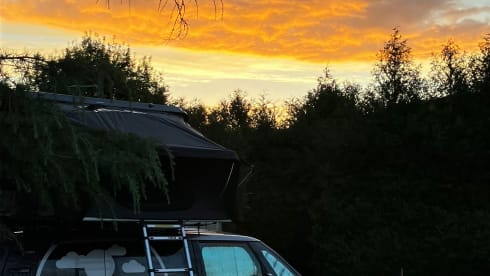 Buzzer – Roadtripper ID Buzz