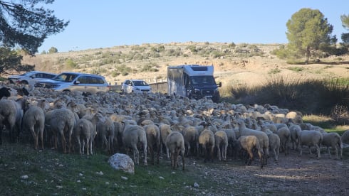 Mango Dream - Just GO! – 4p Dethleffs semi-integrated from 2026