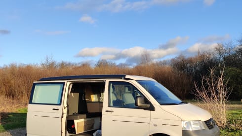 Ruby the Transporter T5