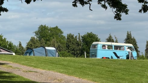 Florence – Take me out for a retro adventure with your friends, family and pets
