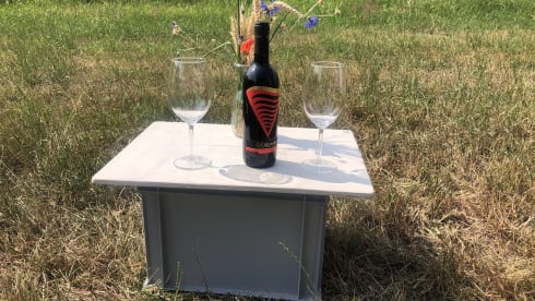 Willi – Vermiete Renault Kangoo Minicamper Eigenumbau