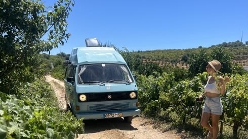 Azul  – Rent a Campervan Blue CLassics ‘s Volkswagen T3
