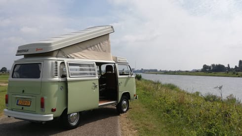 Summer – Wilde Wegen Liefde - Terug naar 1978