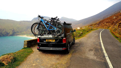 Billy – 4 berth Volkswagen California Ocean 2017