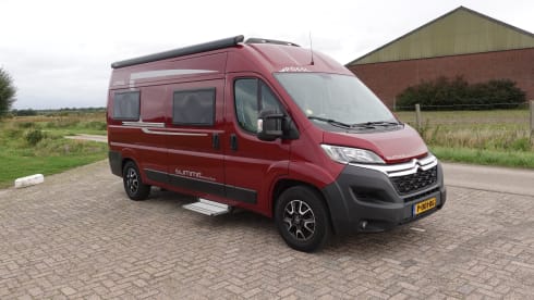 2p Pössl bus from 2018