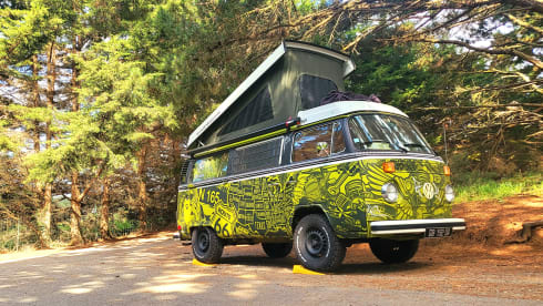 ELVIS  – Vintage Trip, westfalia combi